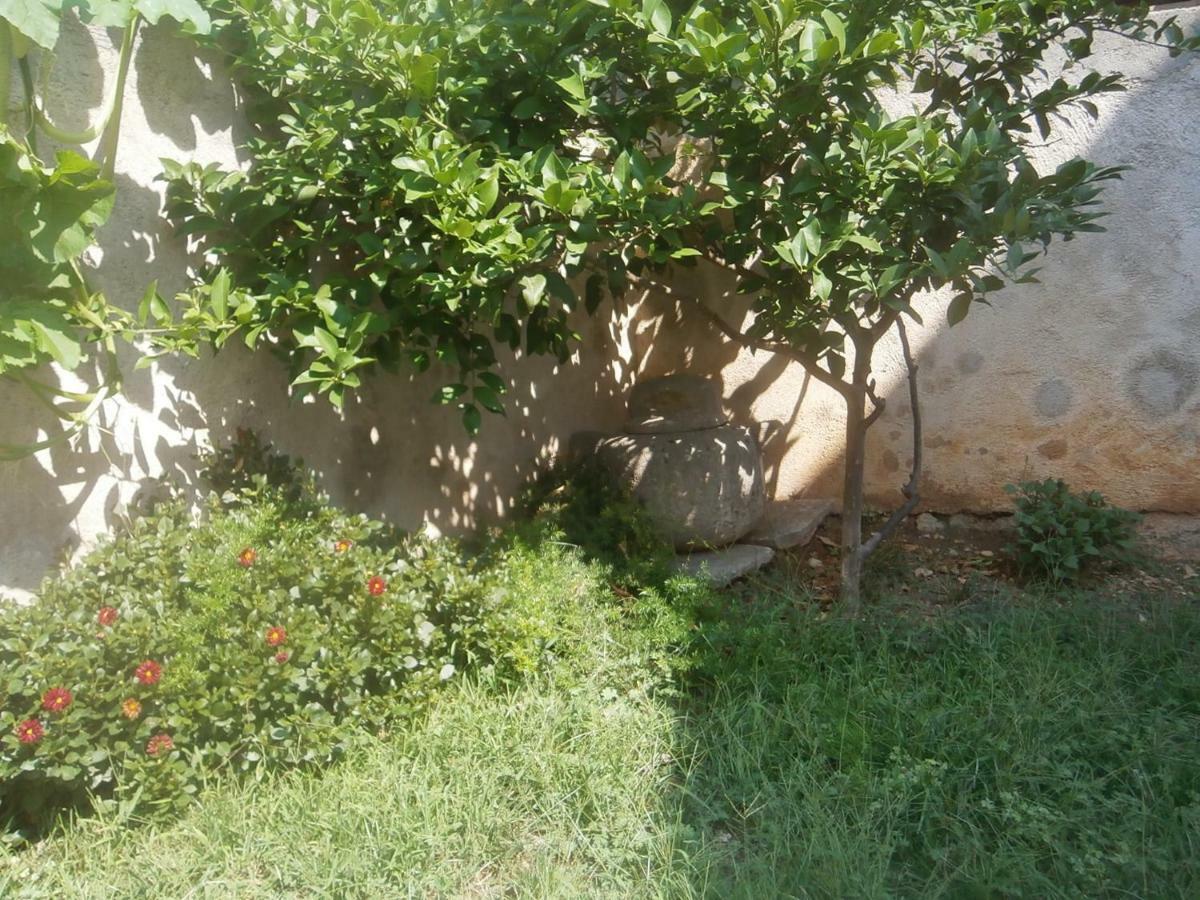 Appartement Lavanda *